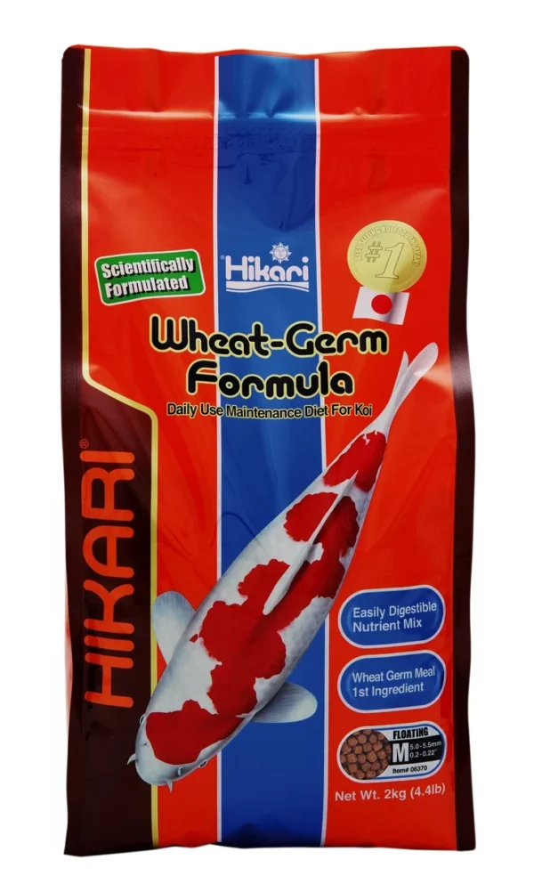 Hikari Wheat-Germ Medium 2 KG