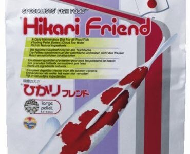 Hikari Friend Large 10 kg – Drijvend Koivoer voor Koi en Grote Vijvervissen