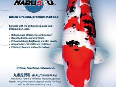 KiGen Koivoer Marujyu Special 6mm 10 Kg Sinking met RG92