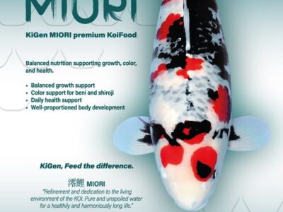 KiGen Koivoer Miori Premium 6mm 1,2 Kg
