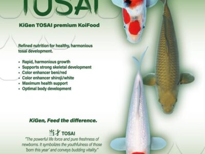 KiGen Koivoer TOSAI 3mm 5 Kg