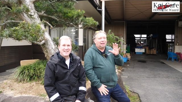 Wim Maat bij Sakai Fish Farm in Mihara, waar de Yonsai Kohaku Koi-529 zwemt