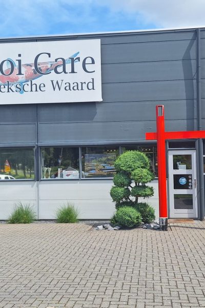 Koi Care - Hoeksche Waard (6)