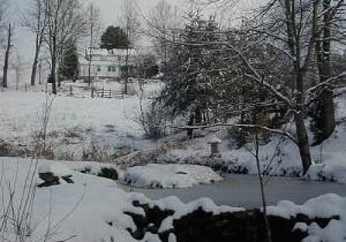 Besneeuwde tuin met een deels bevroren vijver in de winter